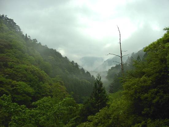 �包�ѓ��A�����