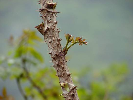 �R��������