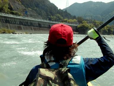 ����M���E�E�C�́A�t���ȁH