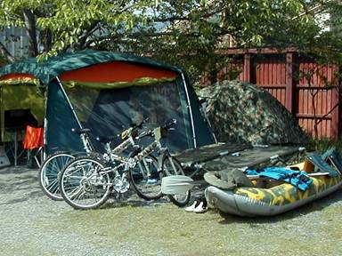 �N�₩�ȐV��