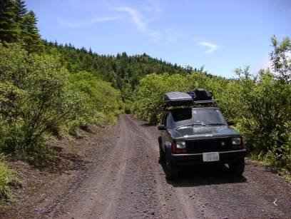 �C�����̗ǂ��ъԂ̃_�[�g��