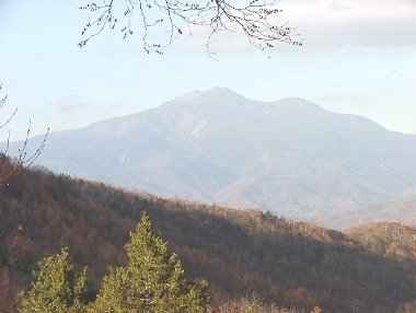 ���͉���o�R���̎����_