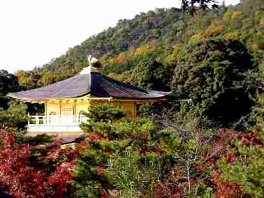 �������\���Ă���l�q���悭�킩��