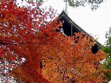 �����̒����猩�����O�̍g�t