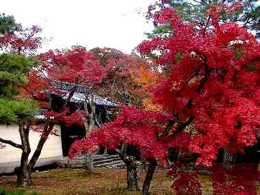 ��㑫�����R�̑��ƕ��ԉƍN���A�����鎞�ׂ̗̈������u����Ă���B