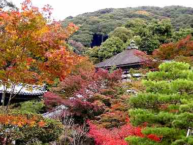 �r�ɉf��g�t