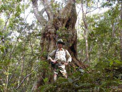 ����ȃ[���}�C