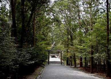 �����F�{���i�����Ђ݂̂�݂̂�j�ւ̓�