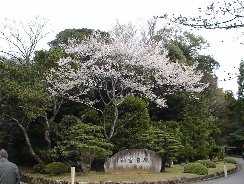 ���̌`�́@��