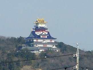 �v�w�������̋߂��ɂ������R�u�V�̉�