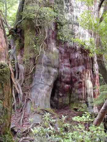 ����3,000�N�̋I�����B