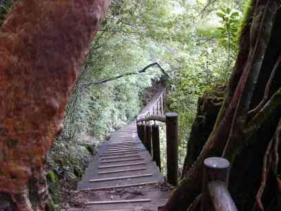 �����萙�̉���V����������A�����������ĕ����B