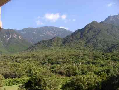 ���b�`�����x�̌������Ő��B�ΎR���̗l�ȕ��͋C�̎R�ł��邪�A���v���͉ΎR���ł͂Ȃ��̂ł��B