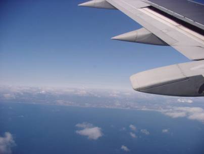 �_����̂����r���R�B