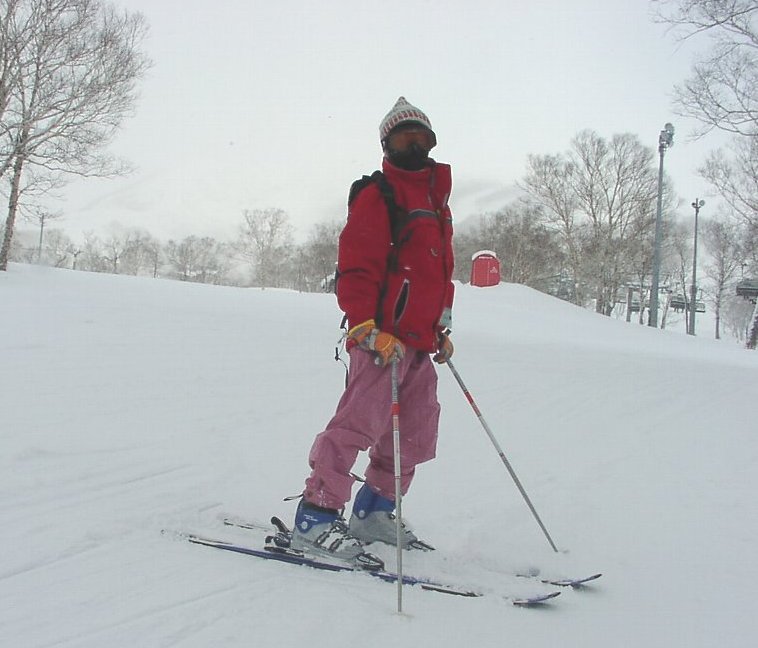 �t�F�C�X�K�[�h�A���ʃl�b�N�E�H�[�}�[��t���A���S�h���̎�