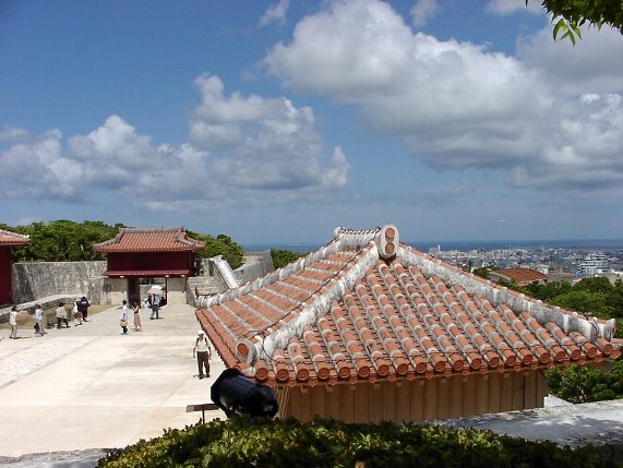 ����E�^�Ă̋�Ɖ_