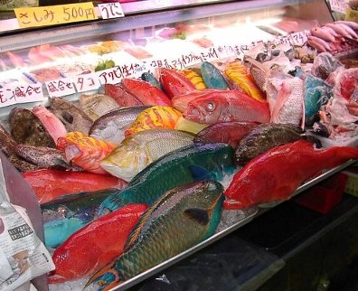 �������������A����L