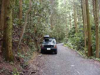 �֌��ւ̓o���