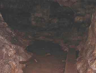 �s�C���Ȗ�������