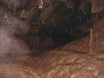 �܂��ɁA�ߓ���