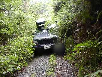 ���`���K�i