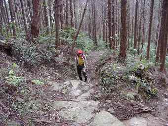 ����Ɠo�蒅�����A����