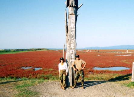 �T���S���A�€�ƑD�Ƒf�Q�l�U