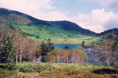 �Ђ�����Ƒ��݂���A���_�΁B�k�C���O���΂̓��̈�ł��邪�A�R�ʌΔȂ���R�����P���Ԉȏ�̕����ł������ɍs���Ȃ��A�i�L�E�T�M�̐����n�Ƃ����������邪�A�Ȃ��Ȃ�����͏o���Ȃ��B���B���i�L�E�T�M�ɂ͉�����o���Ȃ��������A�k�C���ŗL��̃G�]�V�}���X��A���}�Q���ɂ͉�����o�����B�����ɂ���ƁA���Ԃ����~�܂��Ă���l�Ȋ����ɂȂ�B