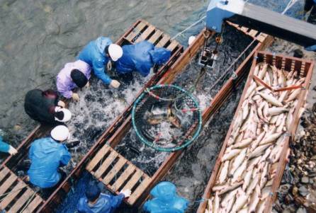 �F�̓���������