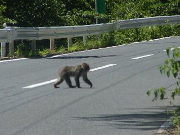 �������A�{�X���H