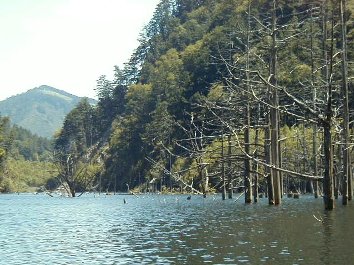 �E���ɐ؂藧�����R�A���ʉ��ɕ�����