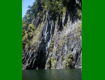 �R�̏㕔�A�ʐ^���B��̂Ɏ񂪒ɂ�