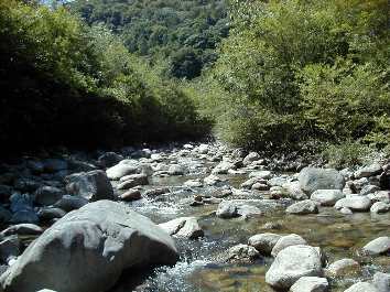 �����ʂ�����̒�