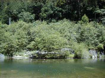 ���ꂢ�Ȍ�