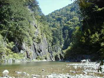 �ʐ^�E��������