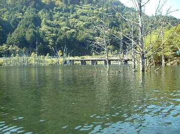 �΂��痬��o���A���ꂢ�Ȑ�