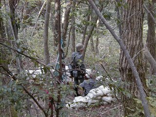 �����錂���`�I�@�@�w���v�E�~�[�I